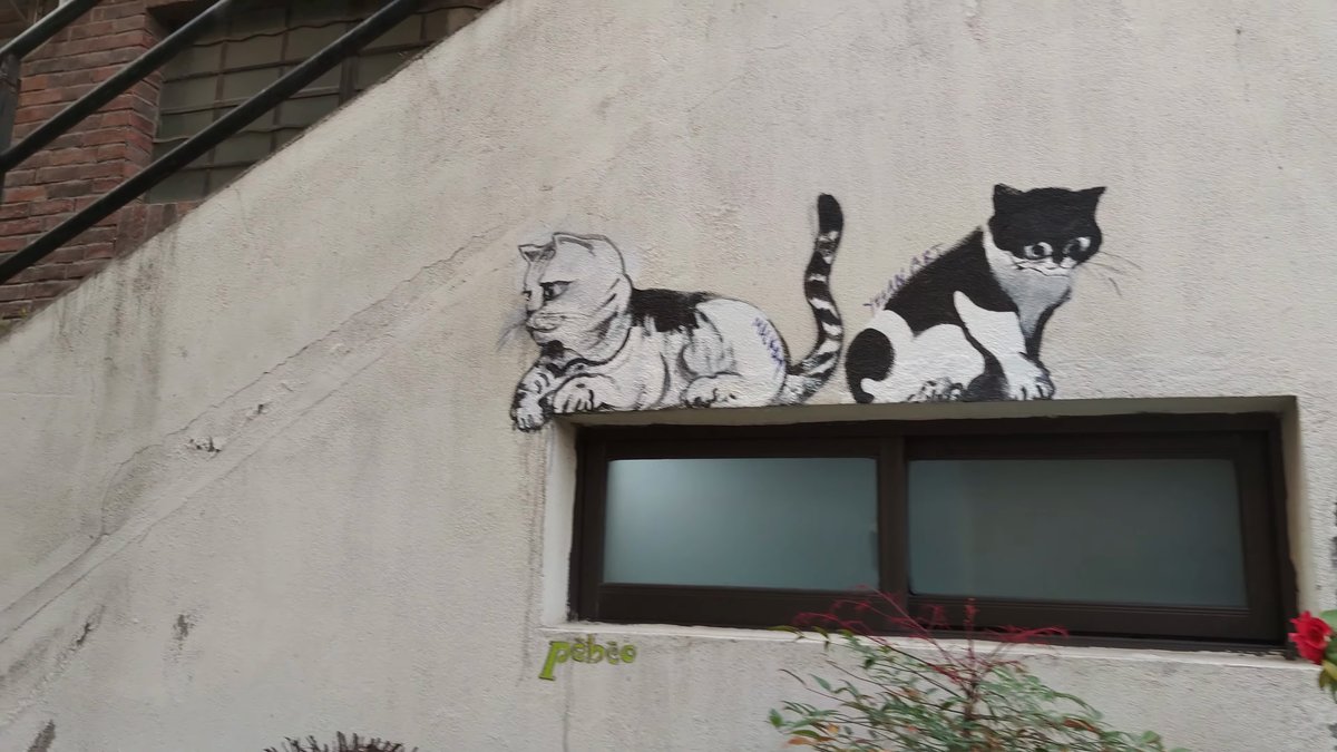 Two cats stencilled above a window