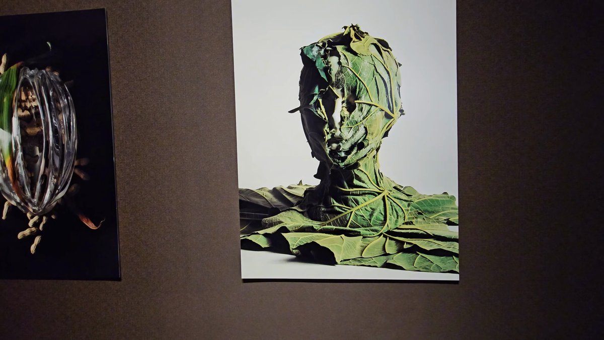 Two large photographic prints side by side —