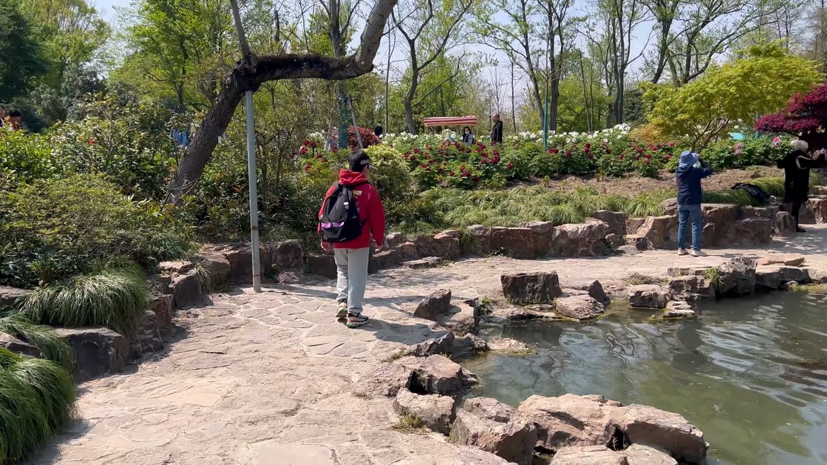 Visitors exploring waterside rock garden