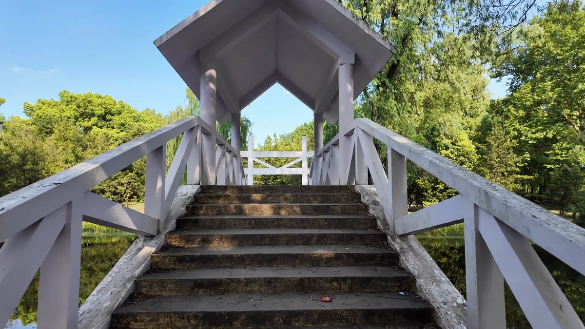 White timber bridge among the trees