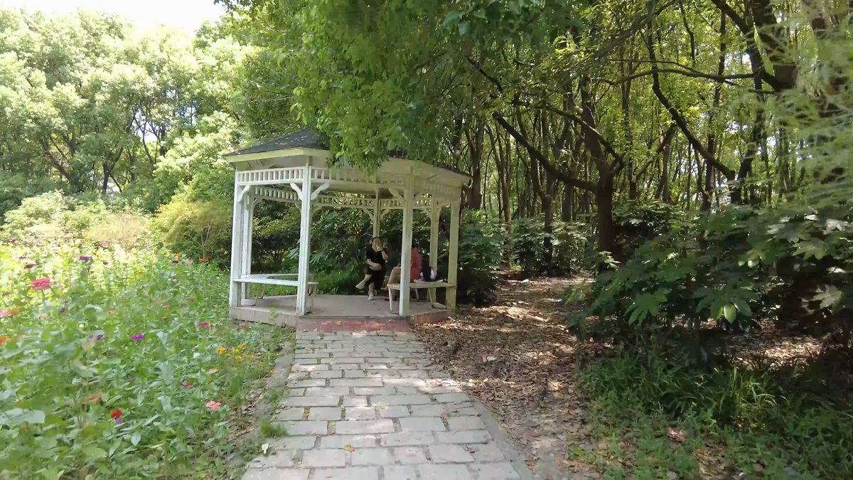 White timber pergola among greenery