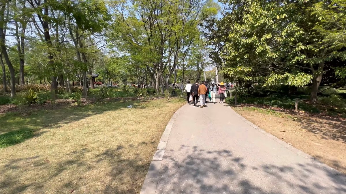 Wide curving path through the park