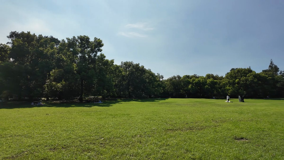 Wide open lawn under a big sky