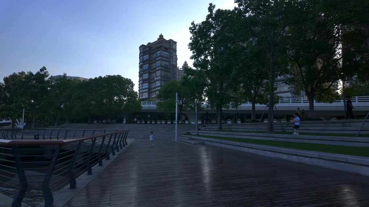 Wide timber deck under the trees