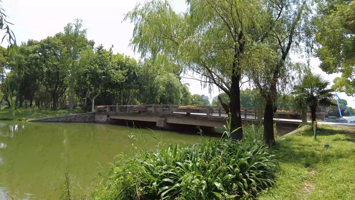 Willow-lined bridge across the lake