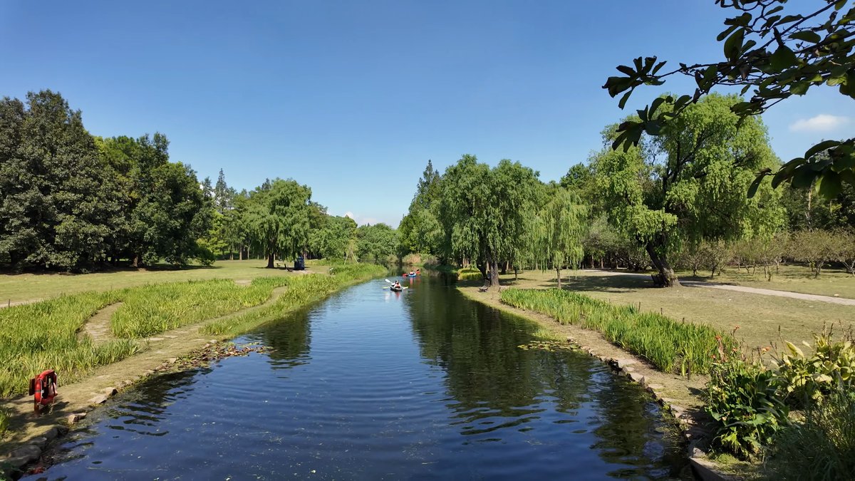 Willow-lined canal reflecting the sky