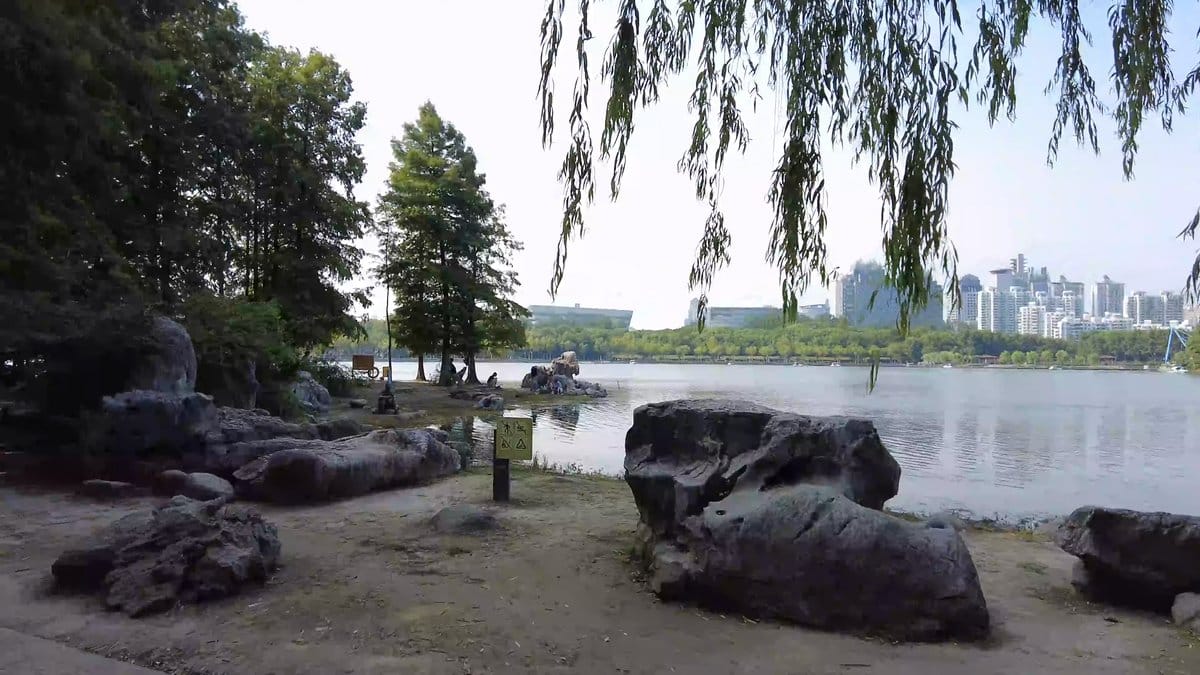 Willows, rocks and Pudong towers