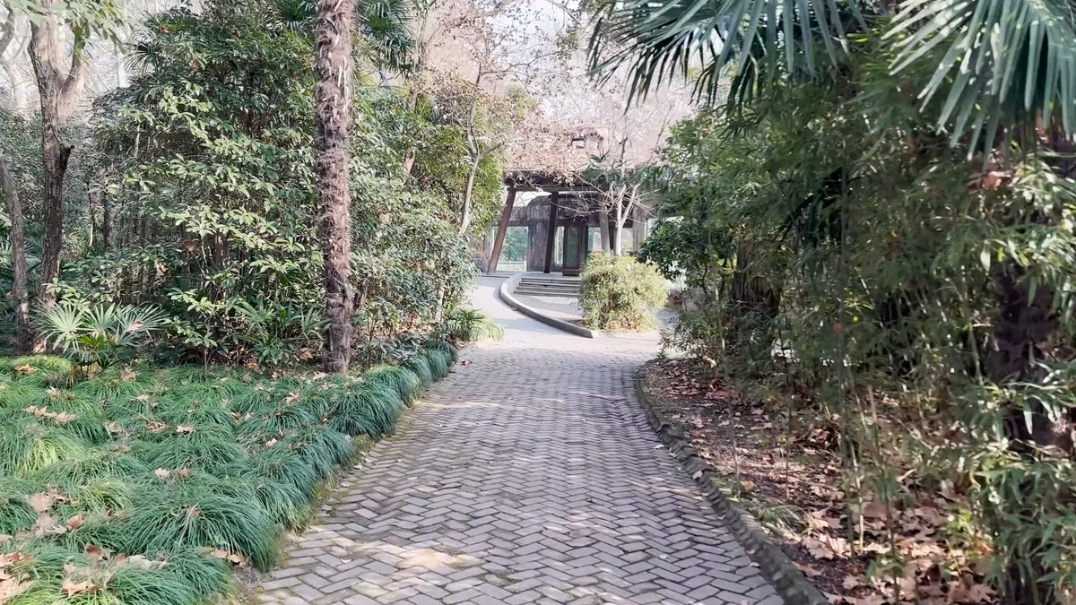A brick path between trees and planting.