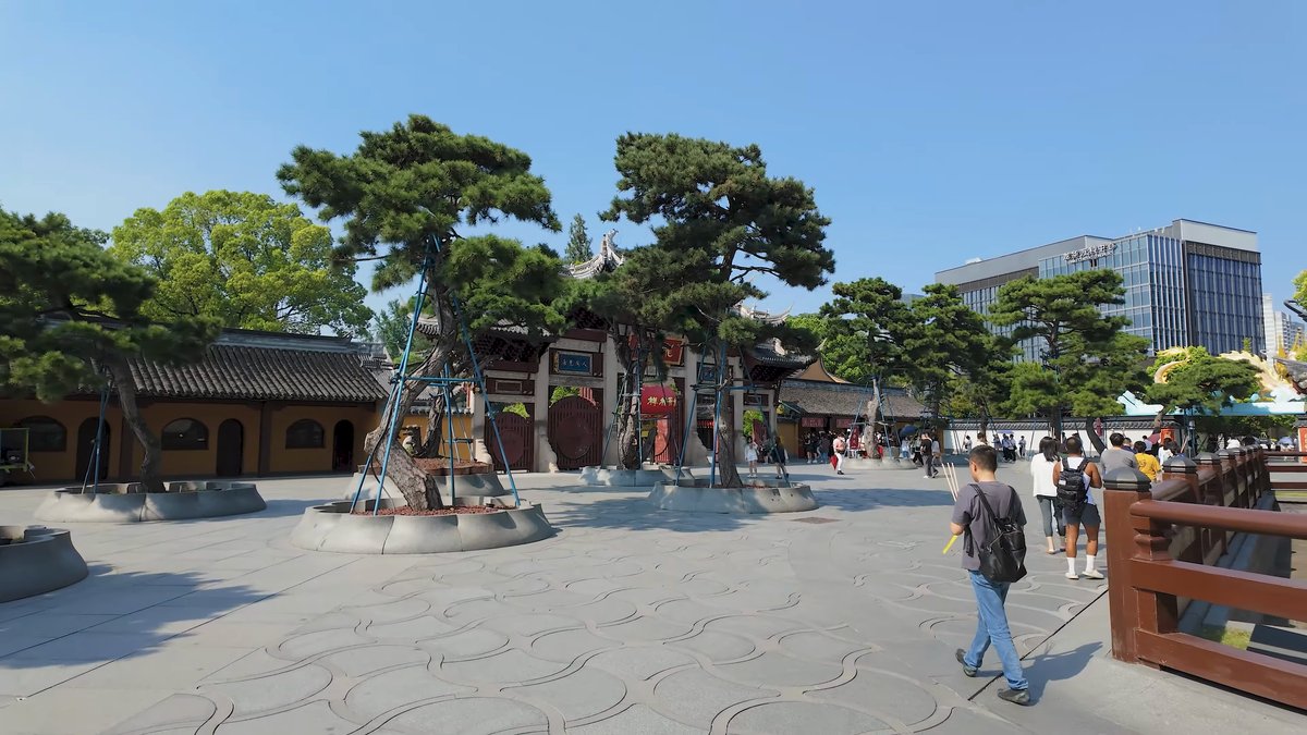 A broad plaza of sculpted pines with a