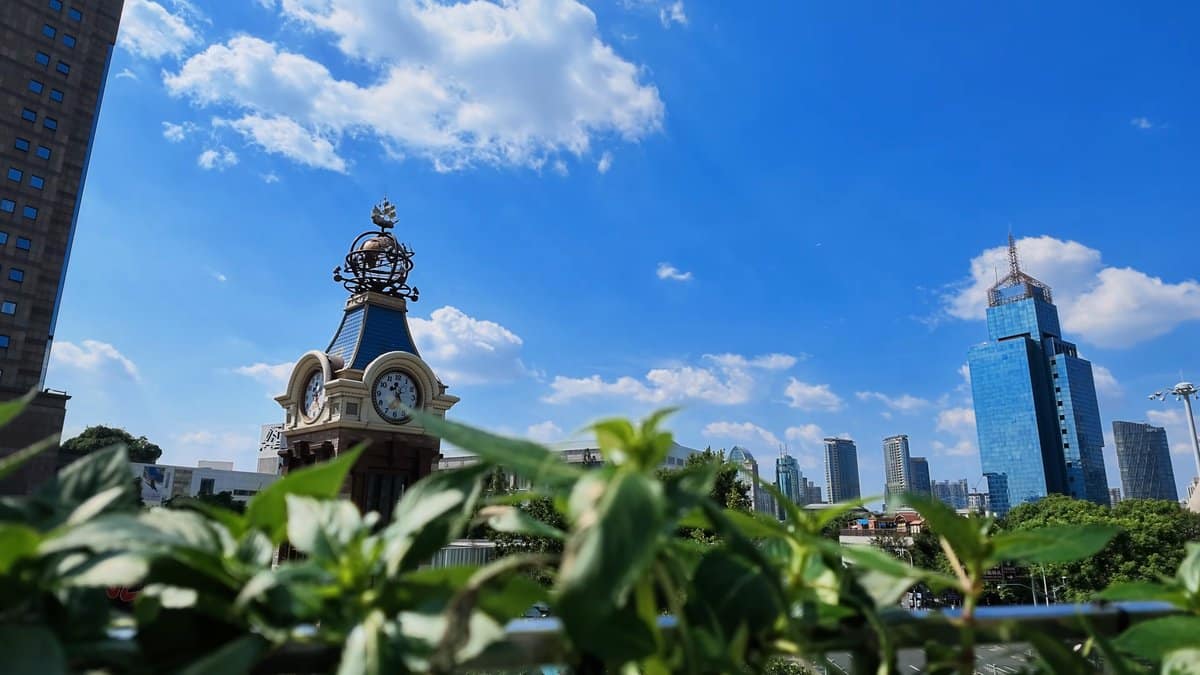 A clock tower glimpsed over leaves, glass towers
