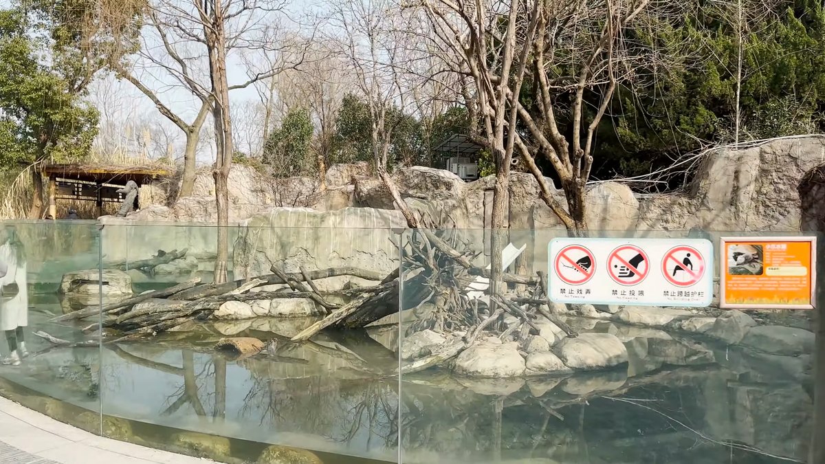 A glass-fronted enclosure with a pool, warning signs