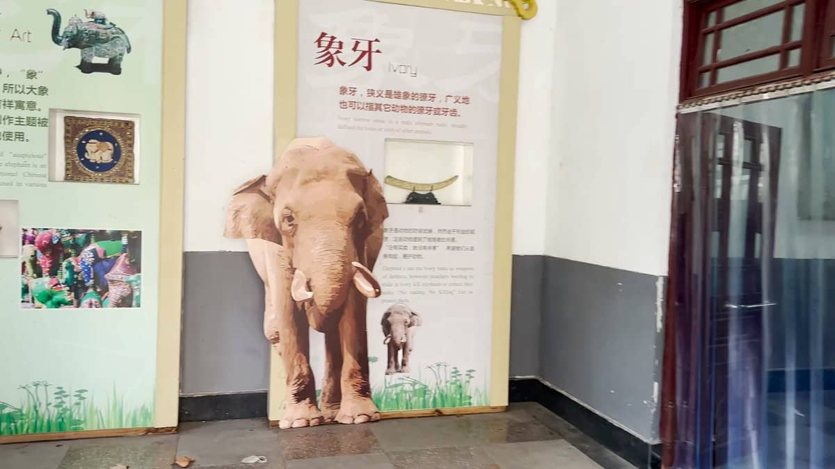 A panel in the elephant house headed 象牙
