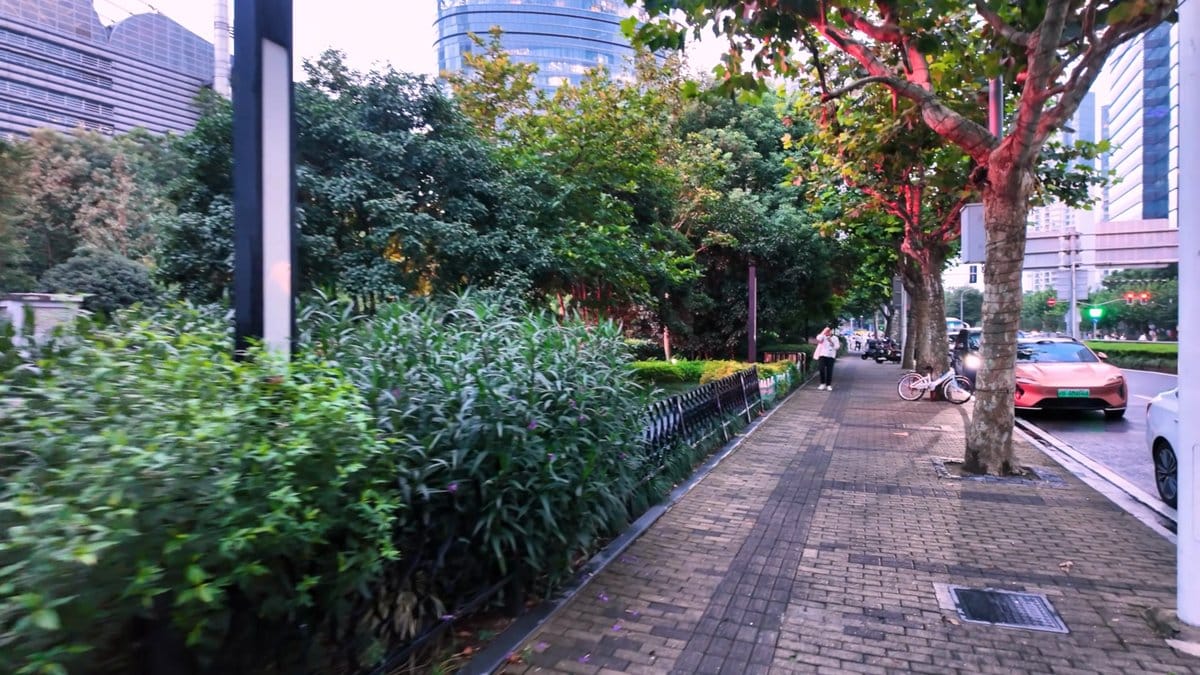 A paved path through a planted strip beside