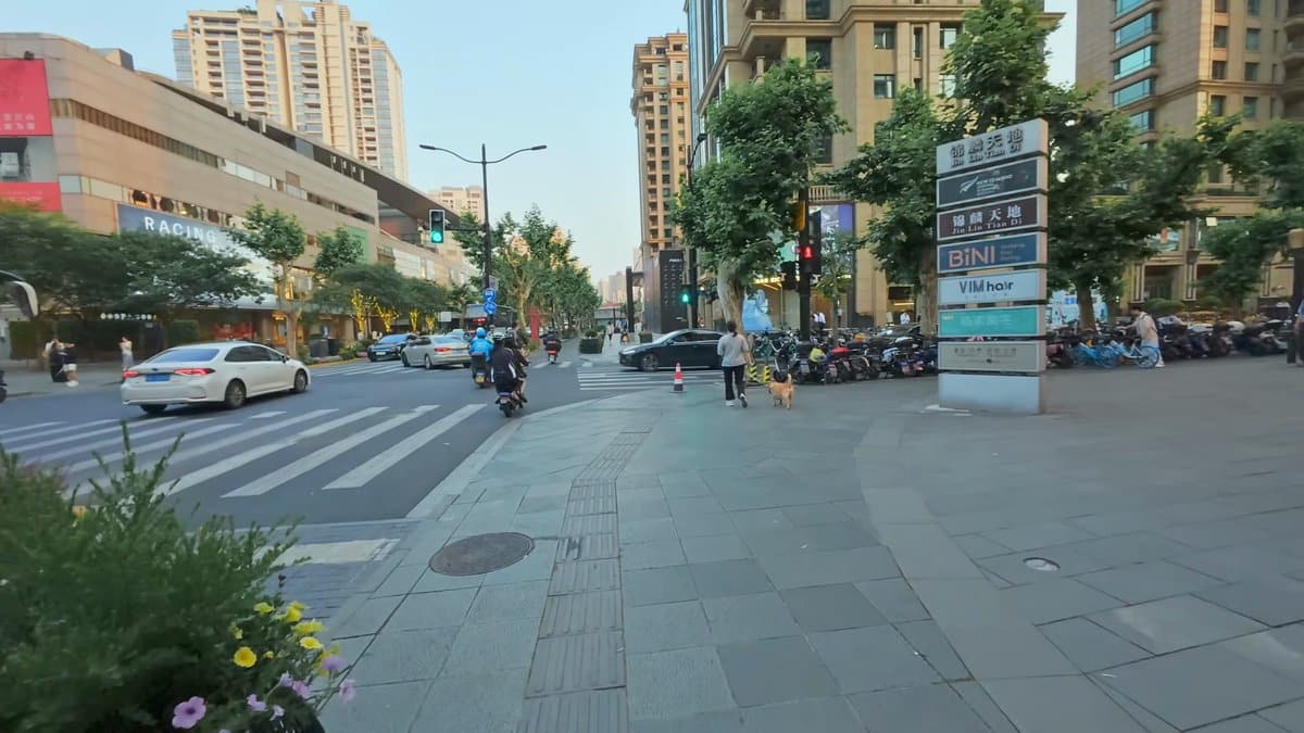 A pedestrian crossing at a junction, a tall
