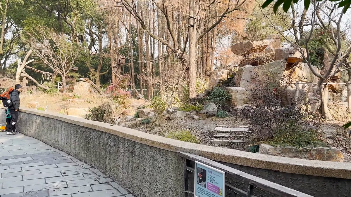 A planted enclosure of rocks and shrubs with
