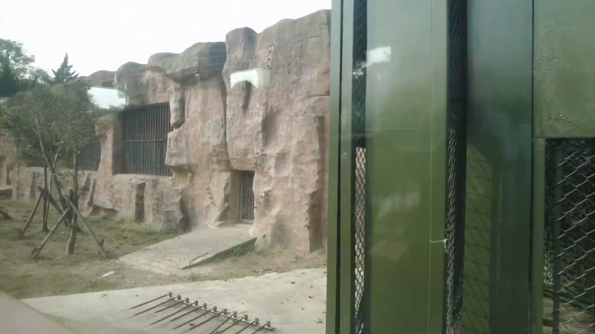 A rockwork enclosure with barred dens set into