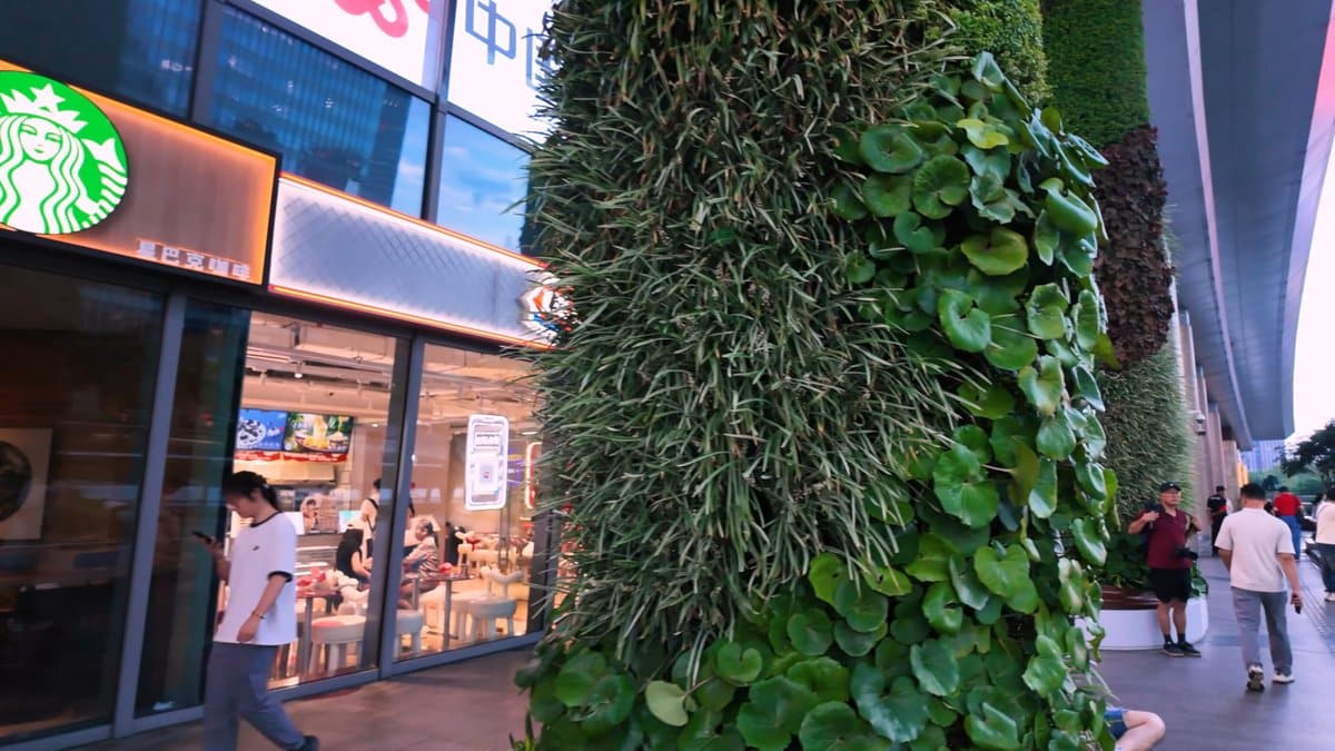A Starbucks on the bridge level beside a