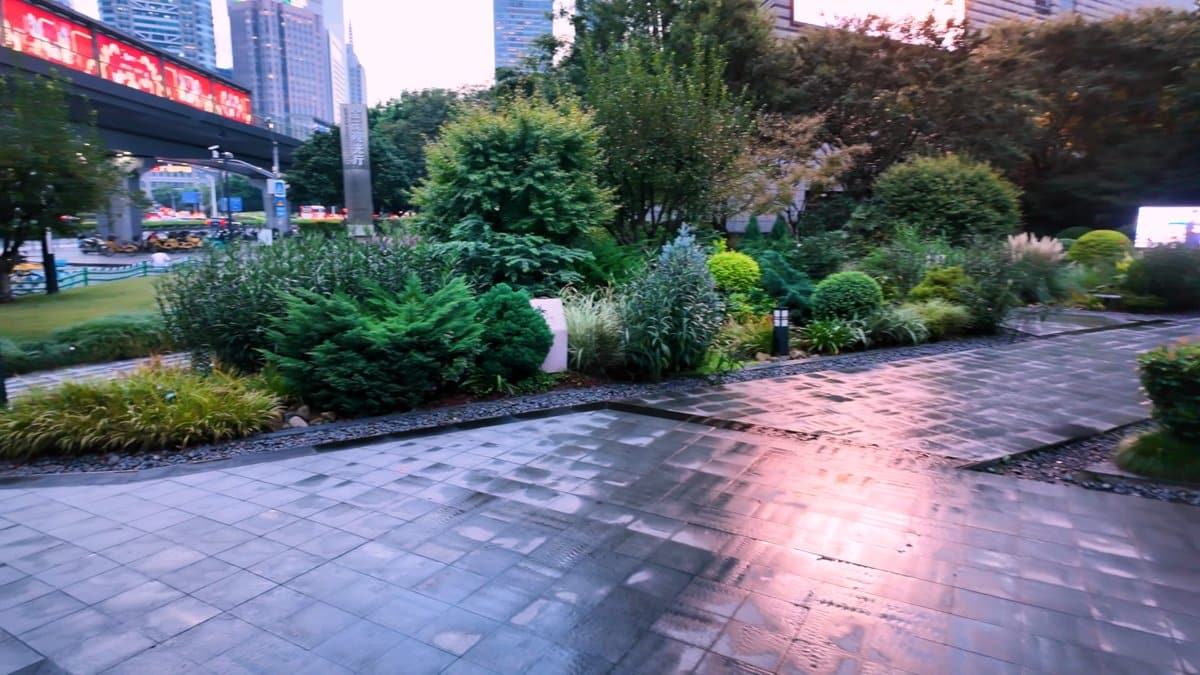 A wet plaza garden of clipped shrubs under