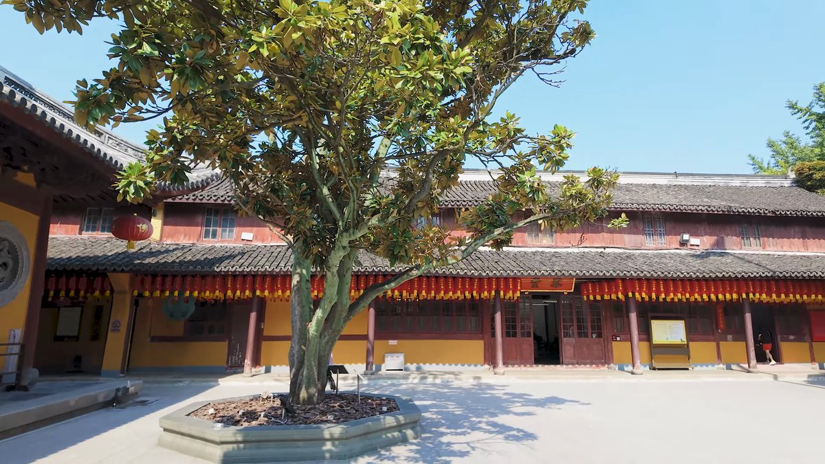 Ancient tree before a timber gallery