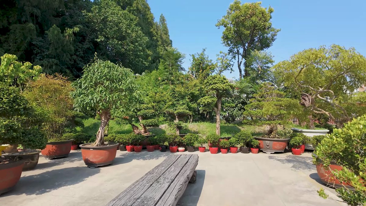 Bonsai garden with shaded benches