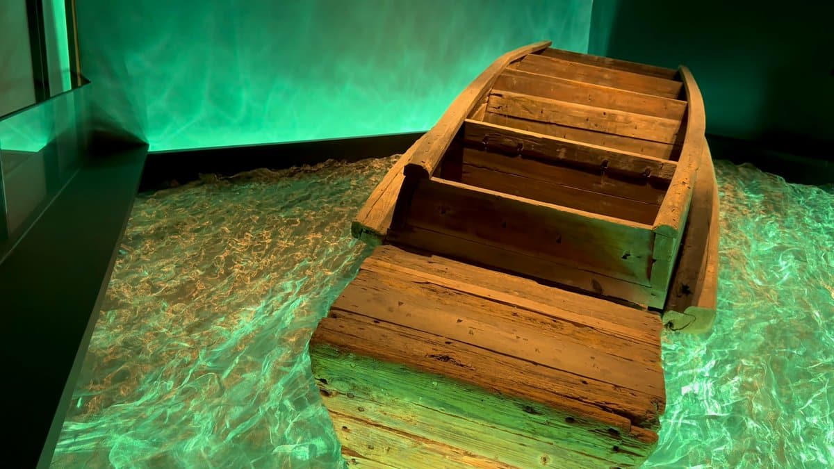 Excavated wooden boat under lights