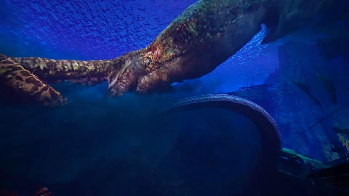 Giant tentacle in pirate ride