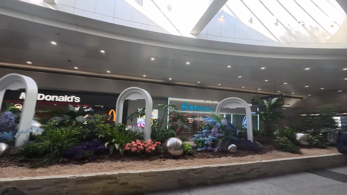 Inside the terminal, a McDonald's beyond a planted