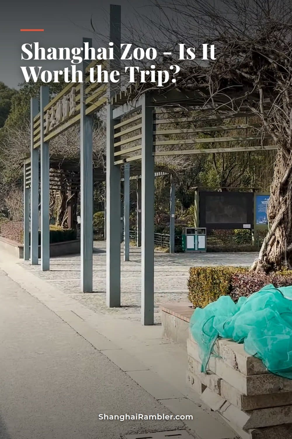 Is Shanghai Zoo Worth the Trip Out West?