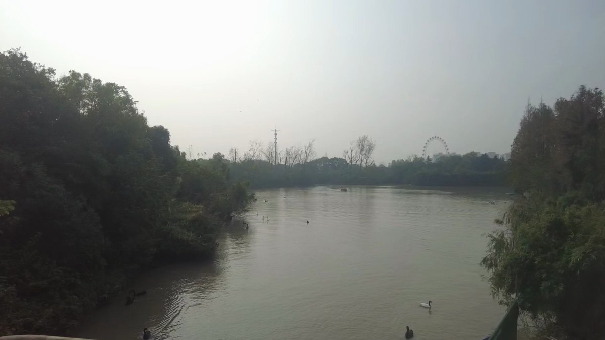 Lake between wooded park banks