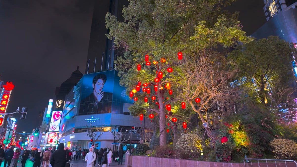 Lantern-hung tree before lit screens