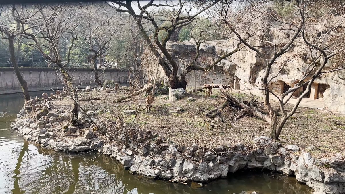 Moated island enclosure with trees