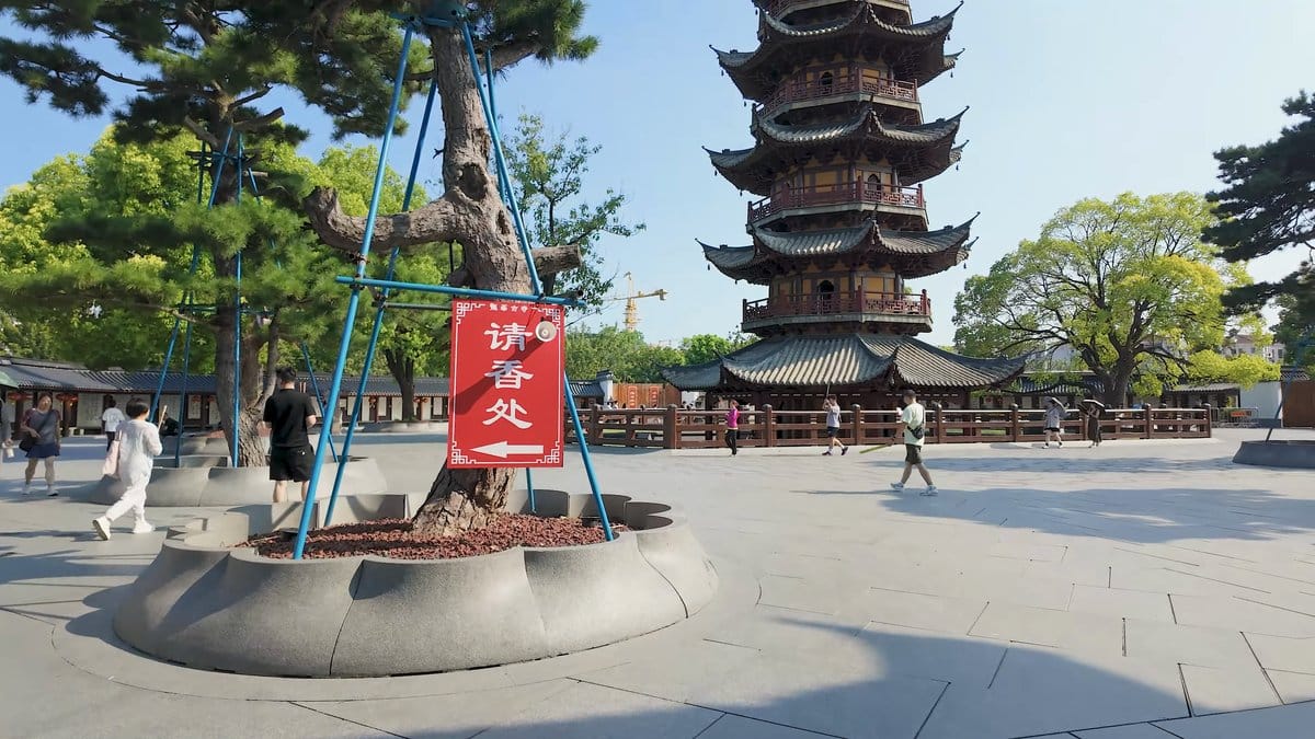 Pagoda seen beyond a supported pine