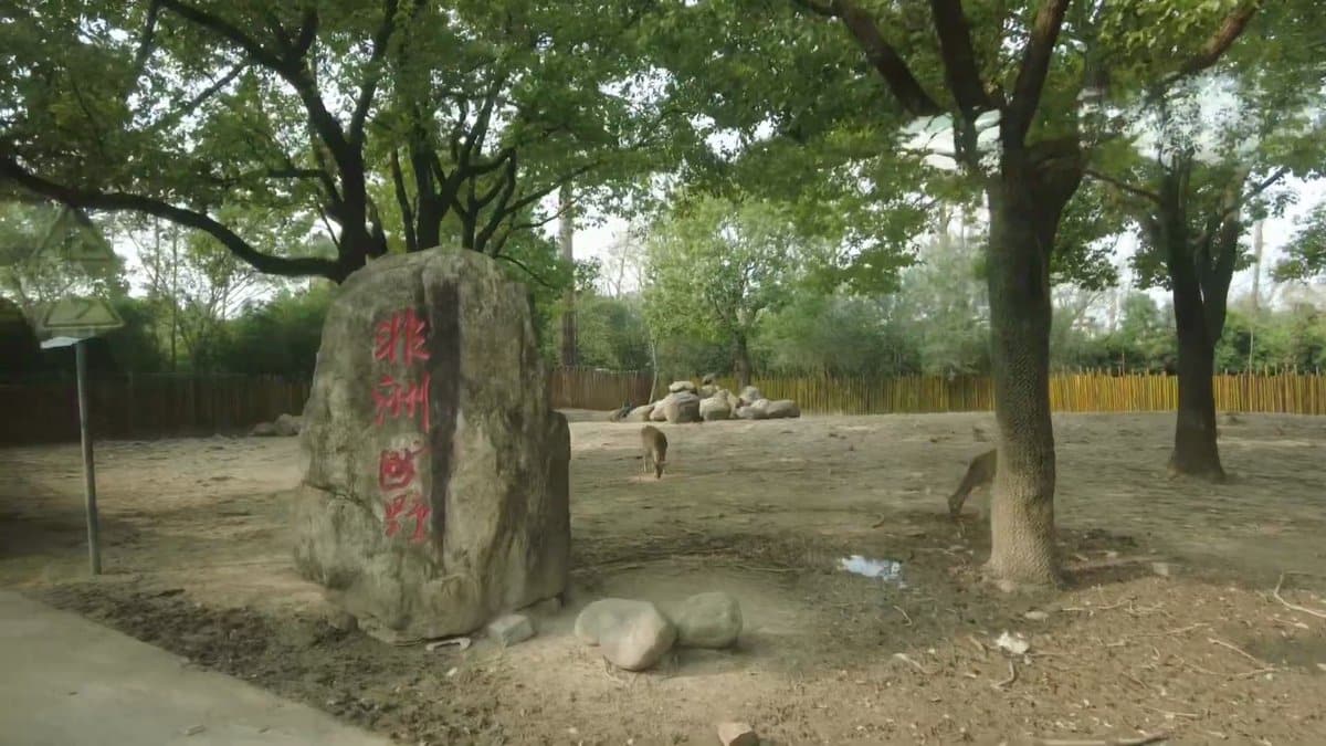 Painted boulder marking African zone