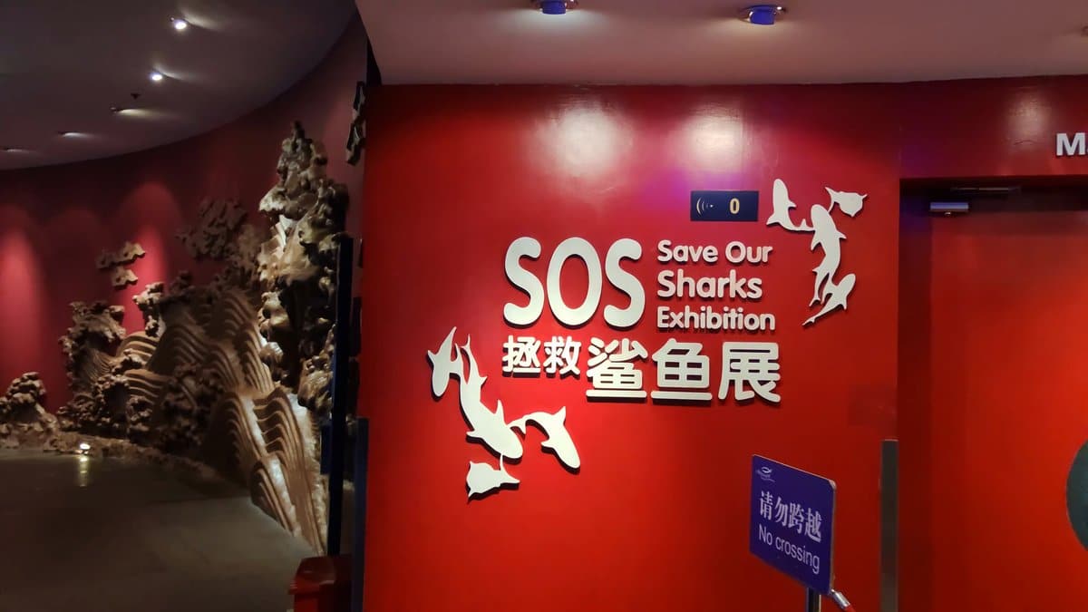 Save Our Sharks exhibition wall