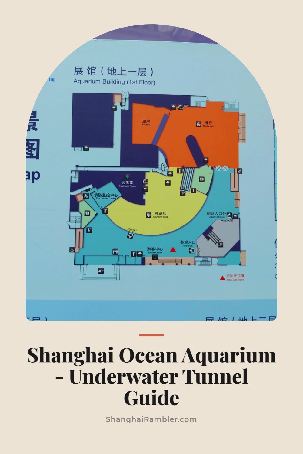 Inside the Underwater Tunnel at Shanghai Ocean Aquarium