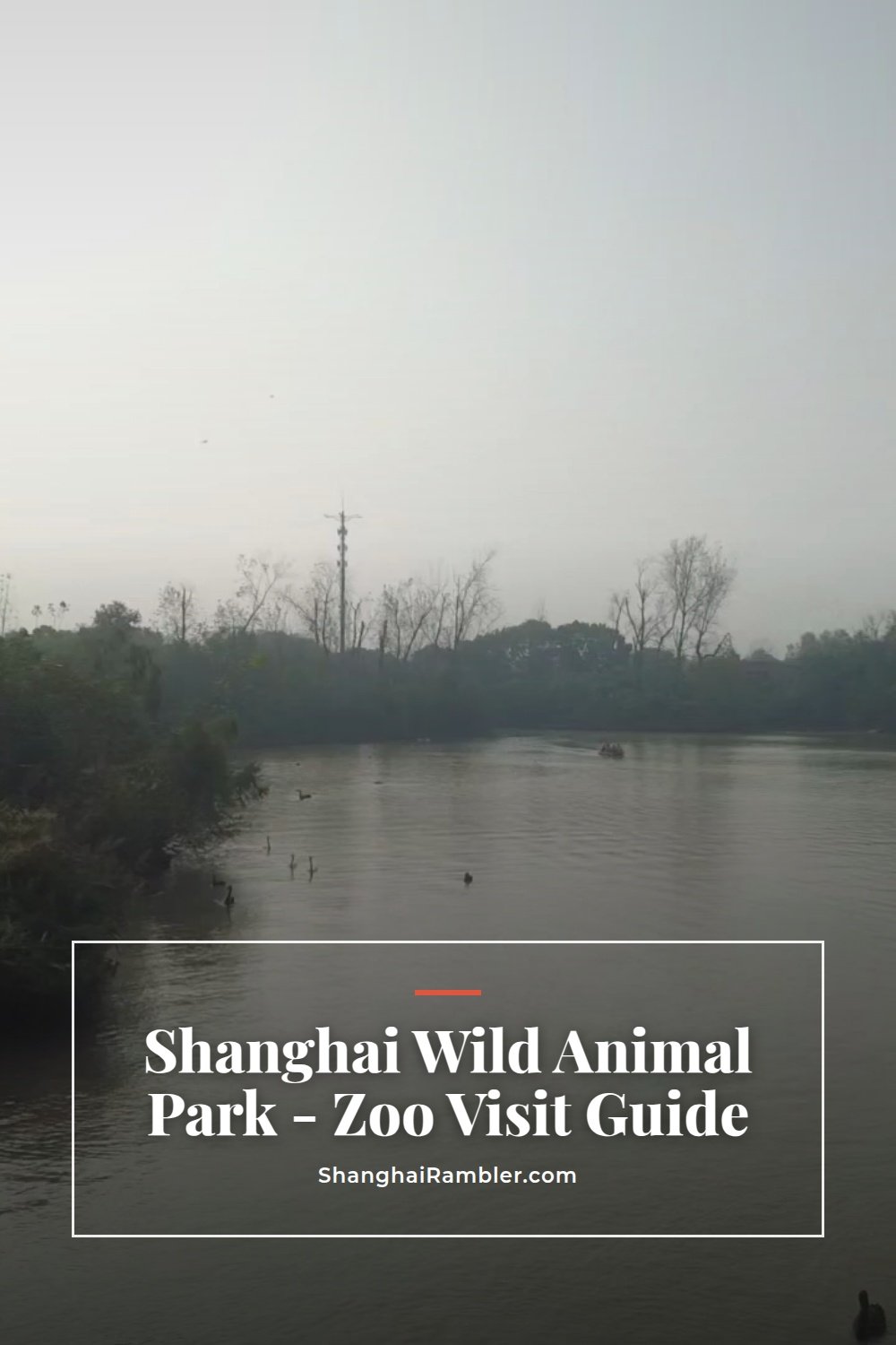 Riding Through Shanghai Wild Animal Park