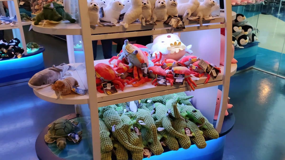 Shelves of plush sea creatures — lobsters, fish