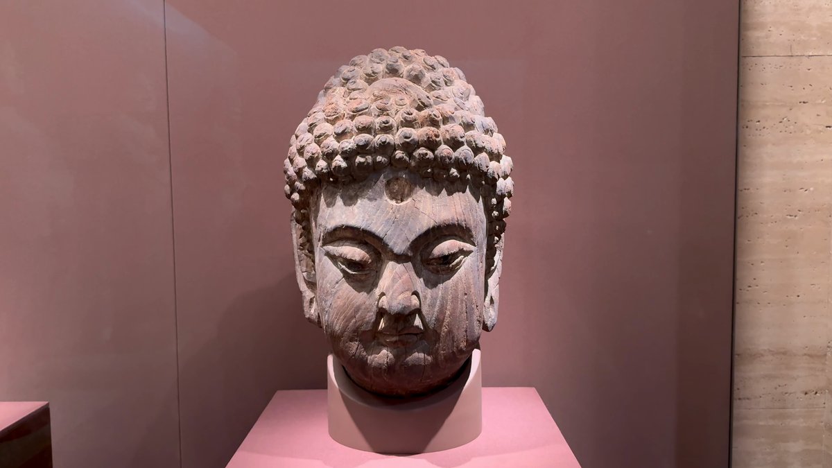 Stone Buddha head with curls