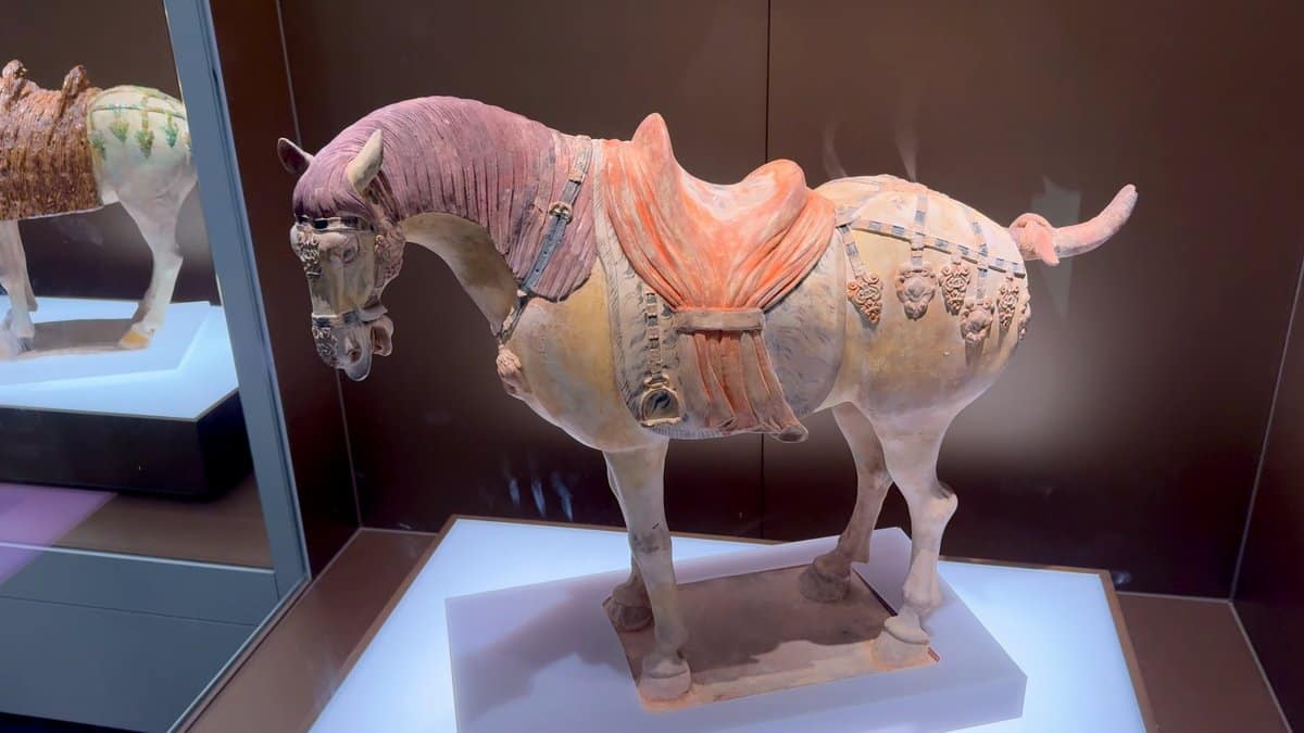 Tang three-colour glazed horse
