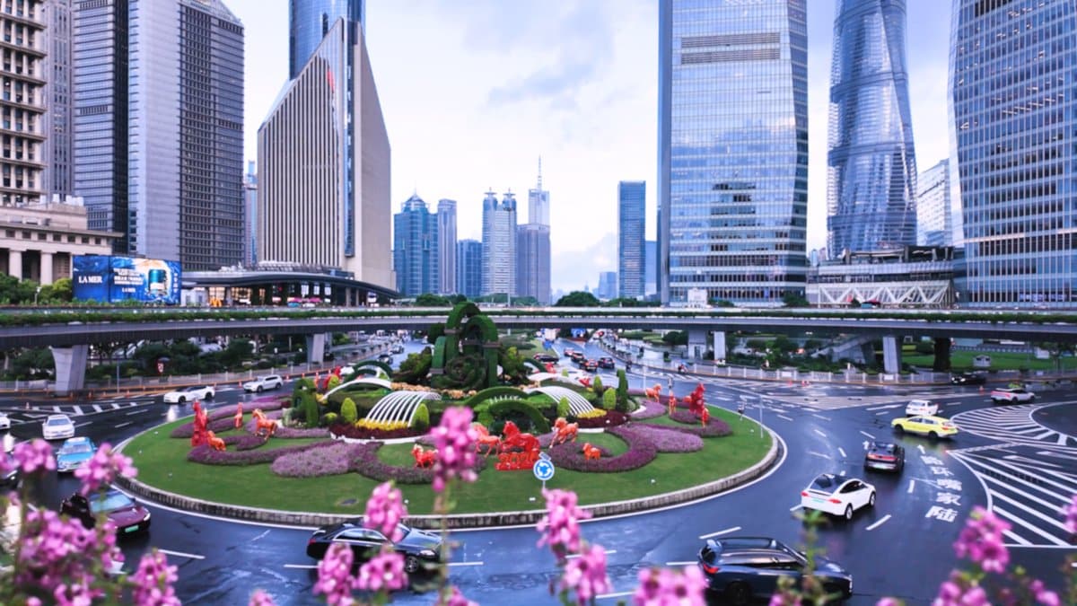 The flowerbeds in the middle of the roundabout