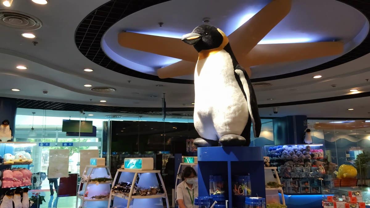 The gift shop entrance with a giant penguin