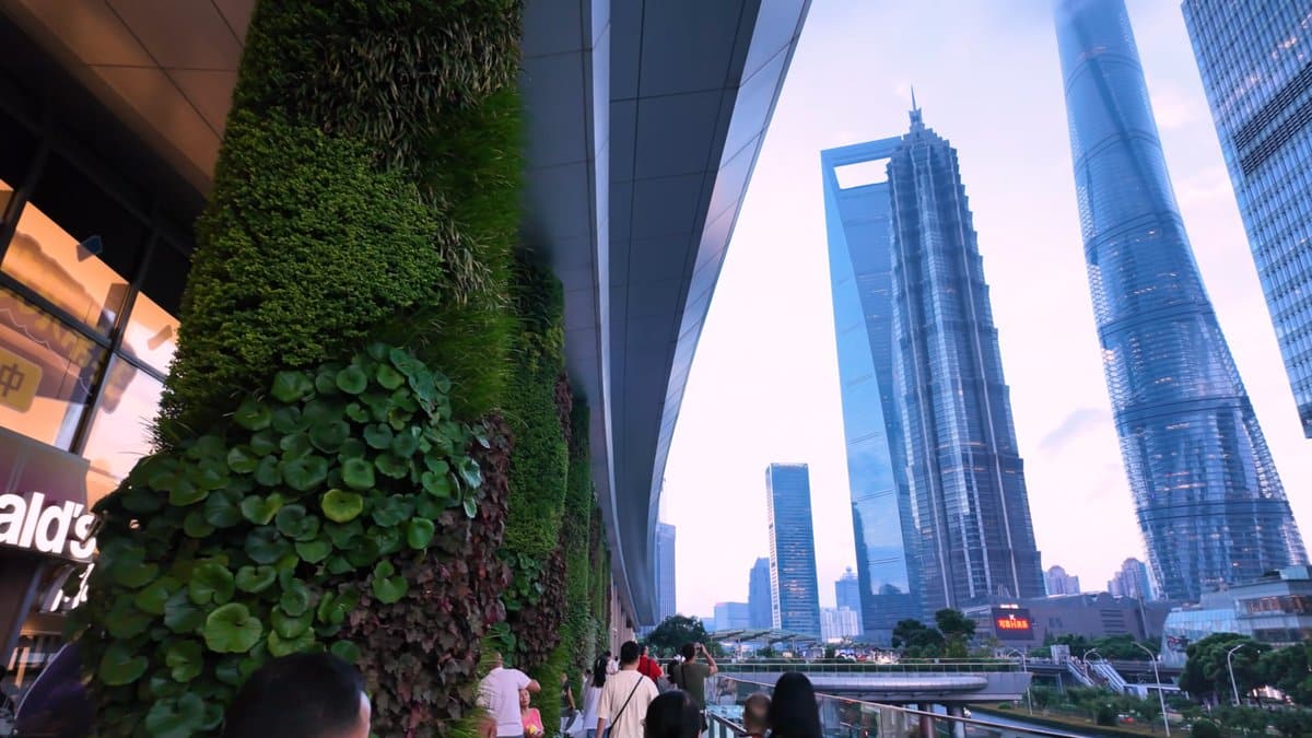 The green wall close up with Jin Mao