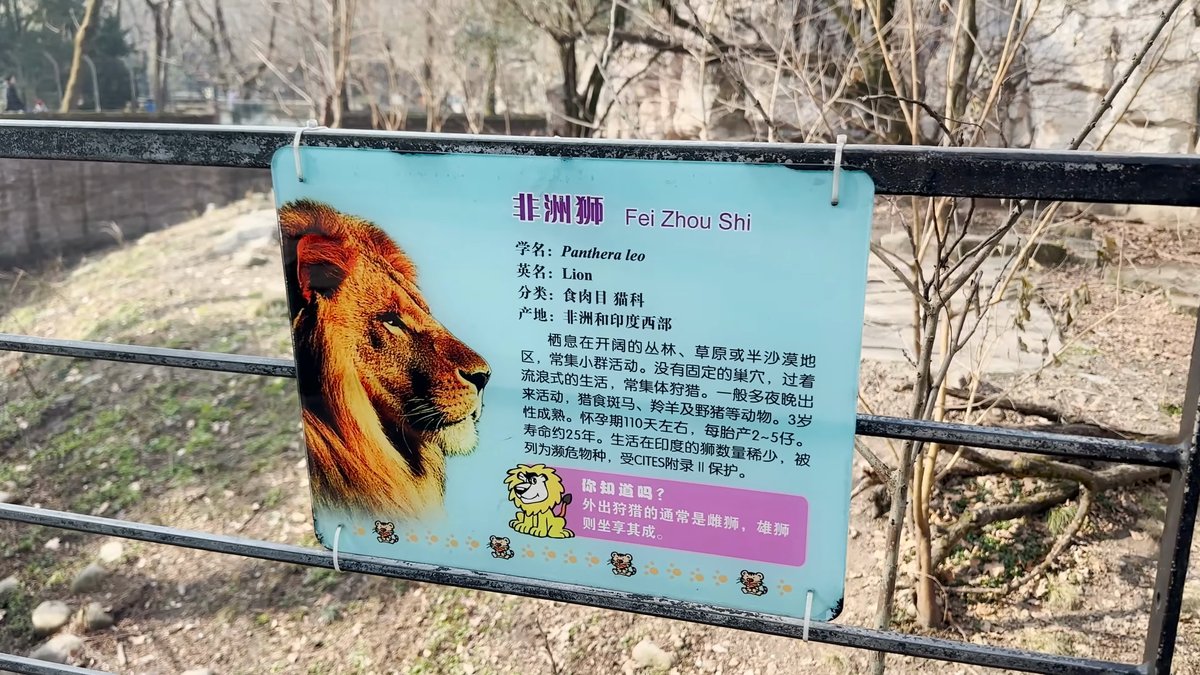 The lion sign 非洲狮 Fei Zhou Shi —