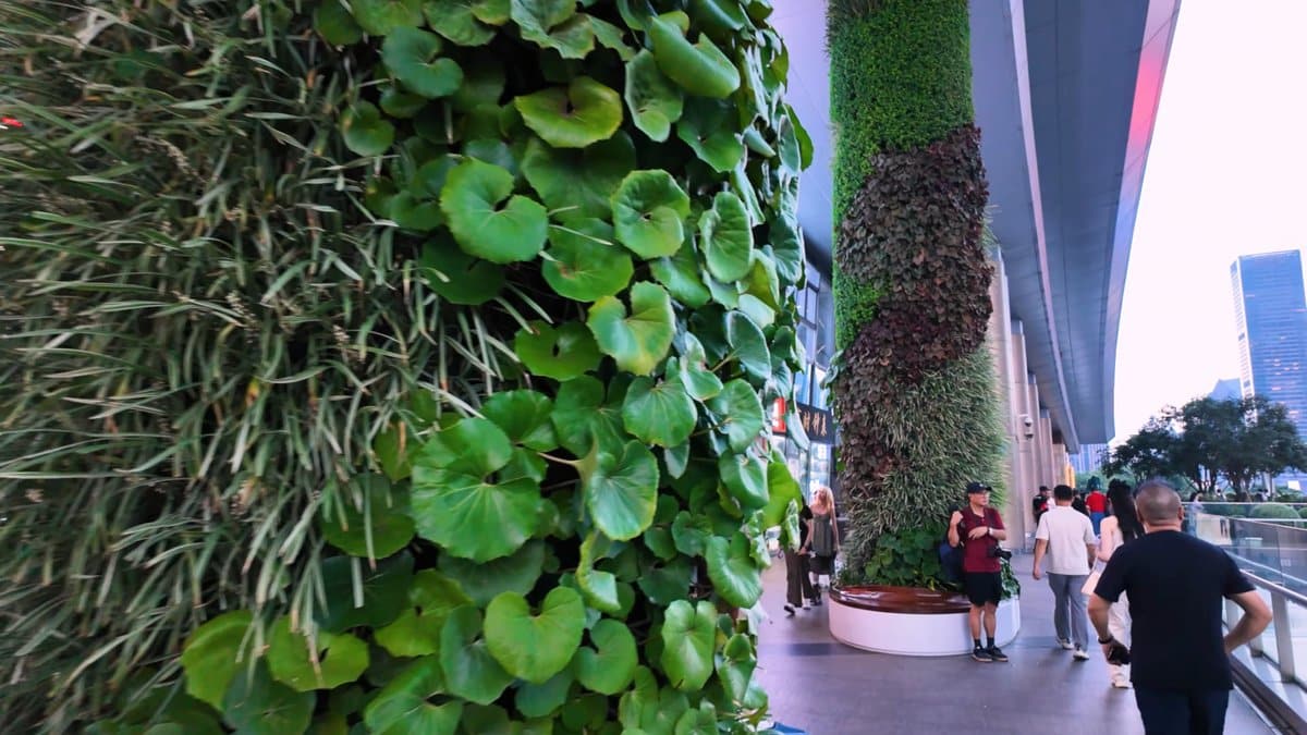 The planted column close up, round leaves and