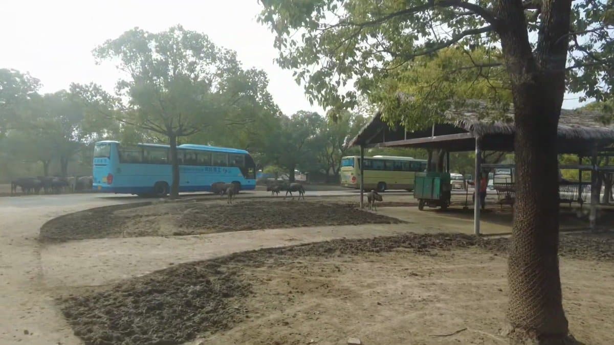 The road winding through the enclosure past another