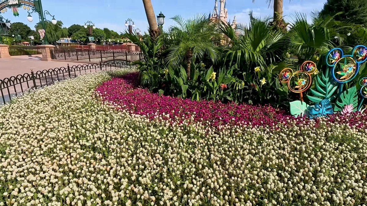 The same flowerbed with Mickey-ear decorations rising from