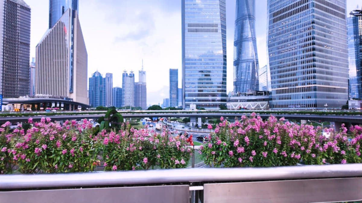 The same towers seen over a bank of