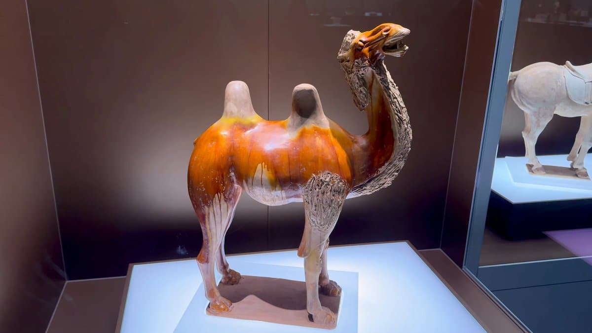 Three-colour glazed camel