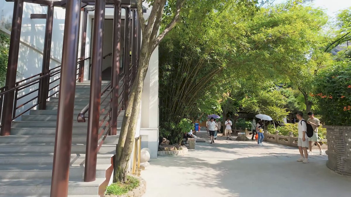 Timber walkway beside standing bamboo