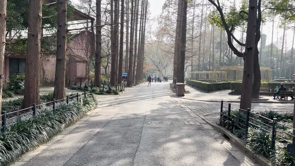 Tree-lined path between enclosures